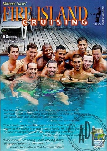 Fire Island Cruising 1 poster
