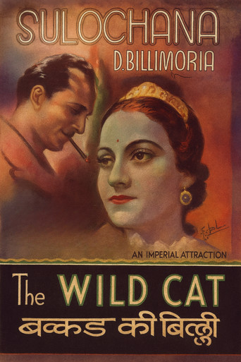 Wildcat of Bombay poster