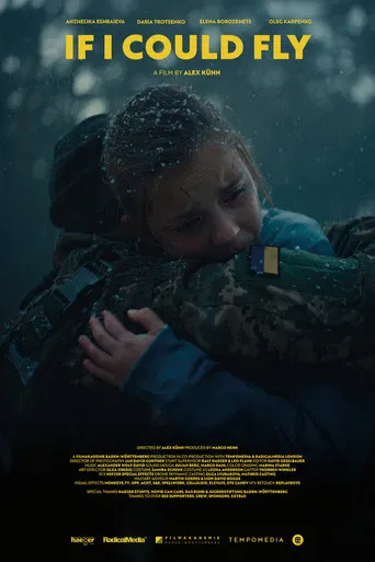 If I Could Fly poster