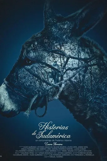 Stories from South America poster