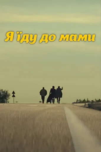 DZIDZIO: I'm going to my mom poster