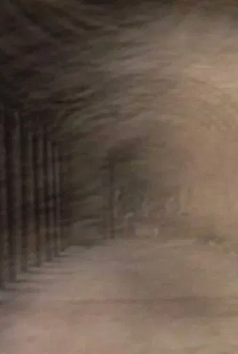 Trois tours et puis s'en vont poster