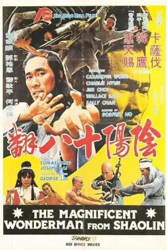 Magnificent Wonderman poster