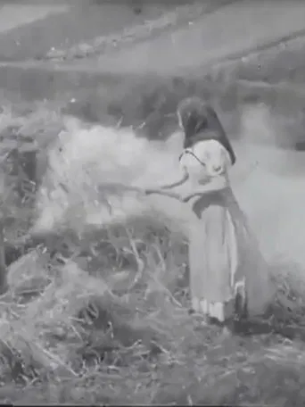 Brûleuses d'herbes poster