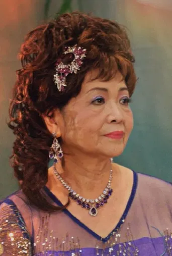 My Happy Mom, And Her Chinese Opera poster