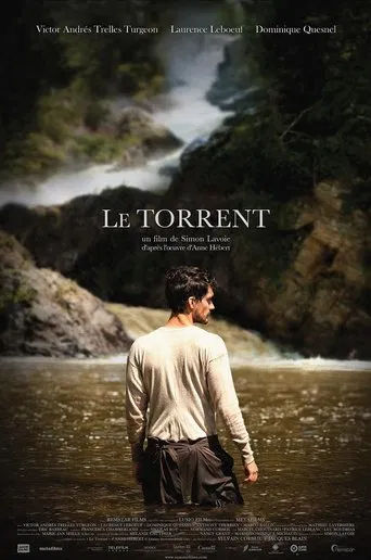 The Torrent poster