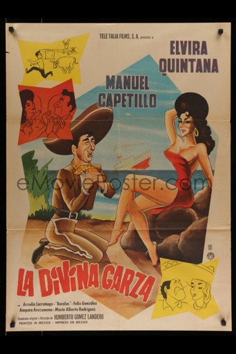La divina garza poster