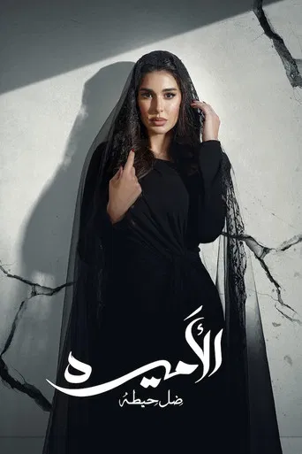 The Princess: Shadow of A Wall poster