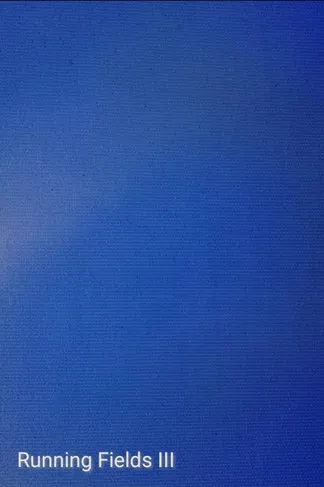 Running Fields III poster