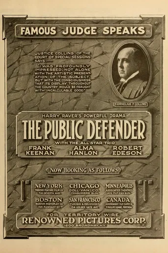 The Public Defender poster
