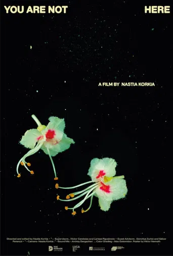 You are not here poster