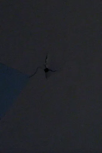 Bad Frequencies poster