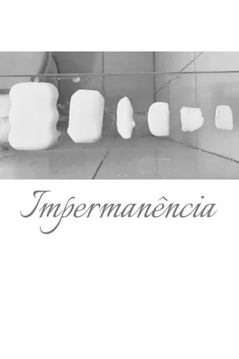 Impermanence poster
