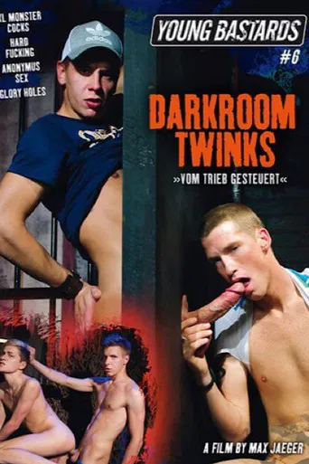 Young Bastards 6: Darkroom Twinks poster