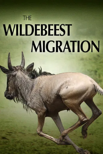 The Wildebeest Migration: Nature's Greatest Journey poster
