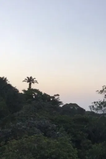 new moon love poster