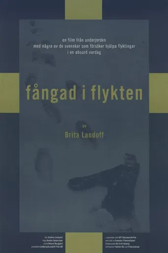Fångad i flykten poster
