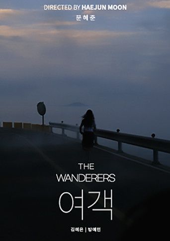The Wanderers poster
