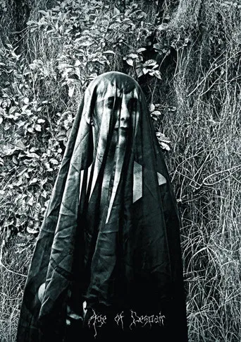 Age of Despair poster