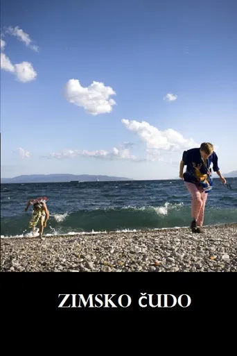 Winter Miracle poster