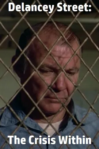 Delancey Street: The Crisis Within poster