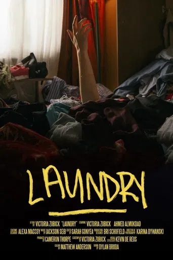 Laundry poster