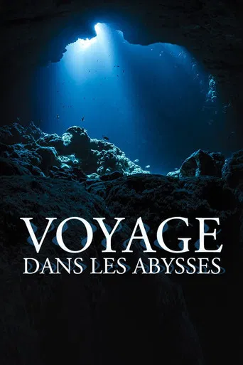 Voyage dans les abysses poster