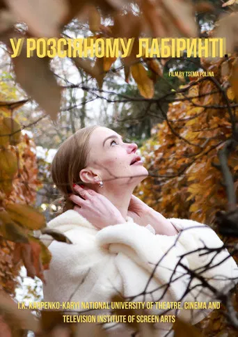 In a Scattered Maze poster