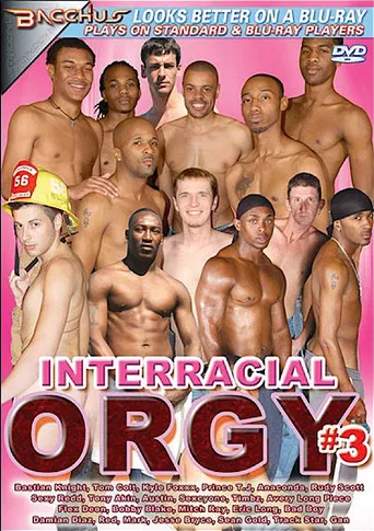 Interracial Orgy 3 poster