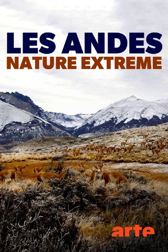 Die Anden - Natur am Limit poster