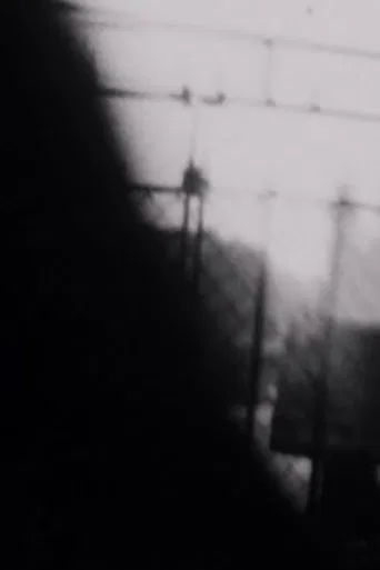 Double Shutter poster