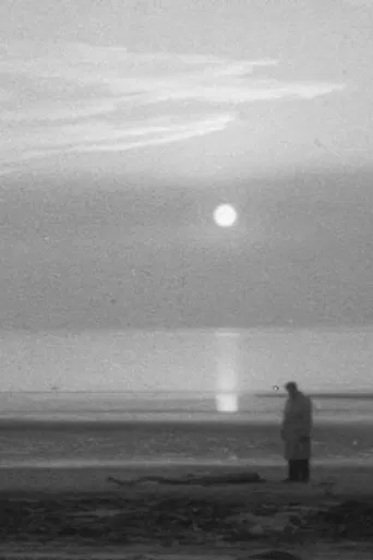 Falls the Shadow poster