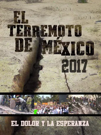 El dolor y la esperanza poster