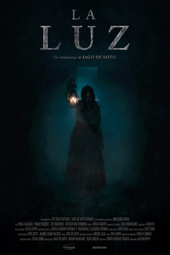 The Light poster