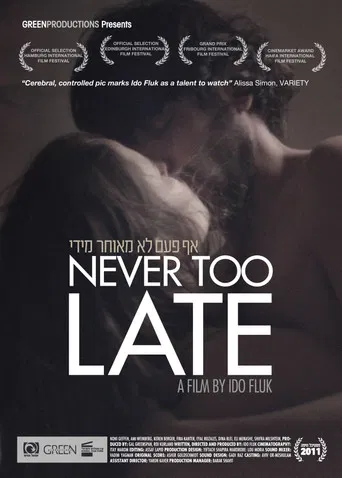 Never Too Late poster