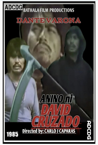 Anino ni David Crusado poster