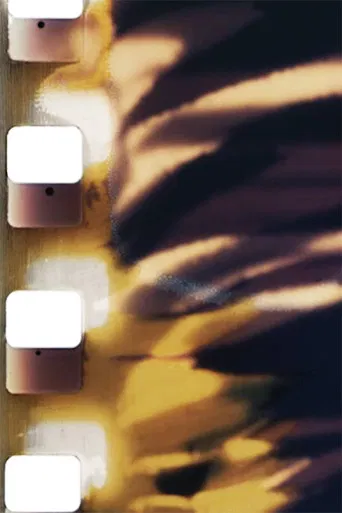 Filmabuse (Original) poster