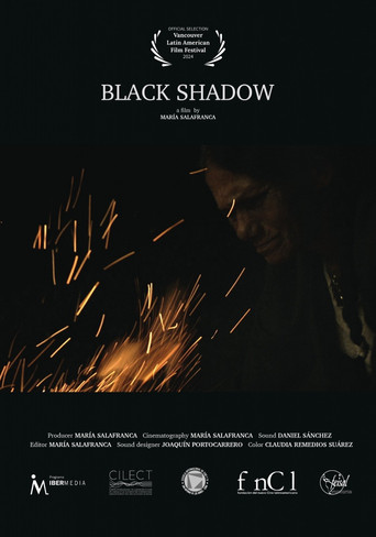 Black Shadow poster