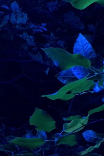 A Hand In Two Ways (Fisted) poster