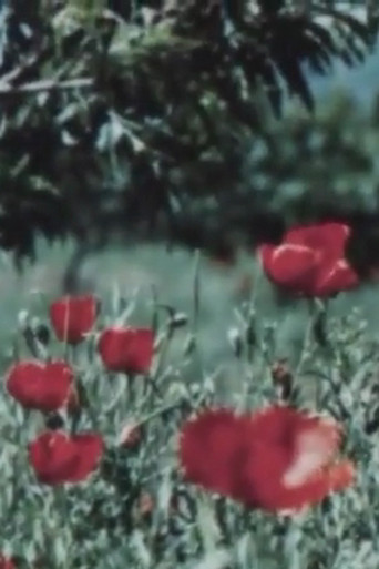 The Art of Tajikistan poster