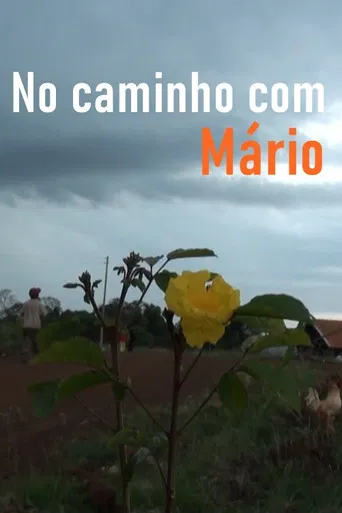 No Caminho com Mário poster