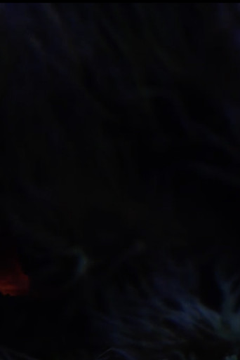 The Butterfly poster