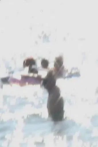 Endless Summer End poster