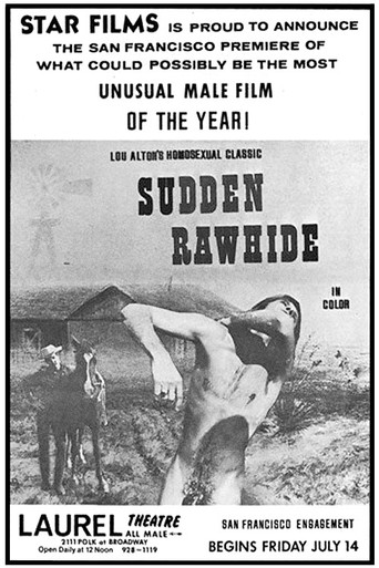 Sudden Rawhide poster