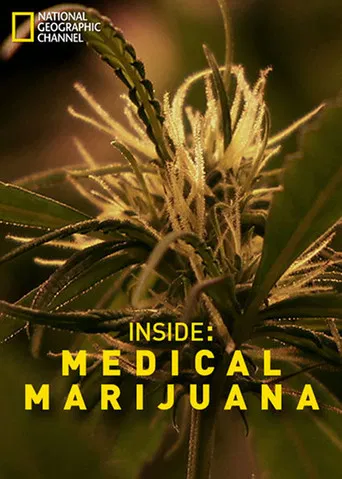 Inside: Medical Marijuana poster