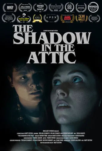 The Shadow in the Attic poster