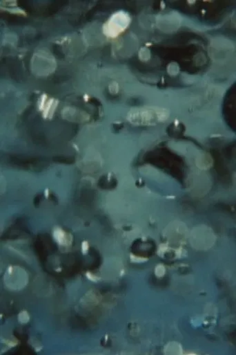 For a Young Filmmaker poster