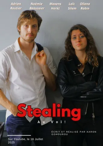 Stealing Au Vol poster