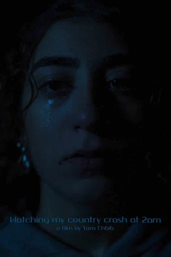 Watching my country crash at 2am poster