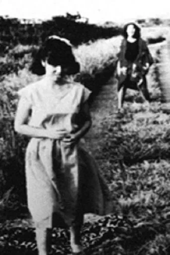 A iMITATION interioR poster